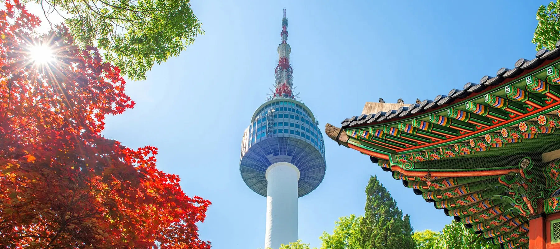 Unlimited South Korean eSIM