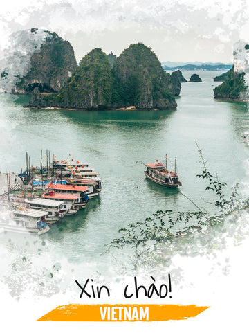 eSIM Vietnam